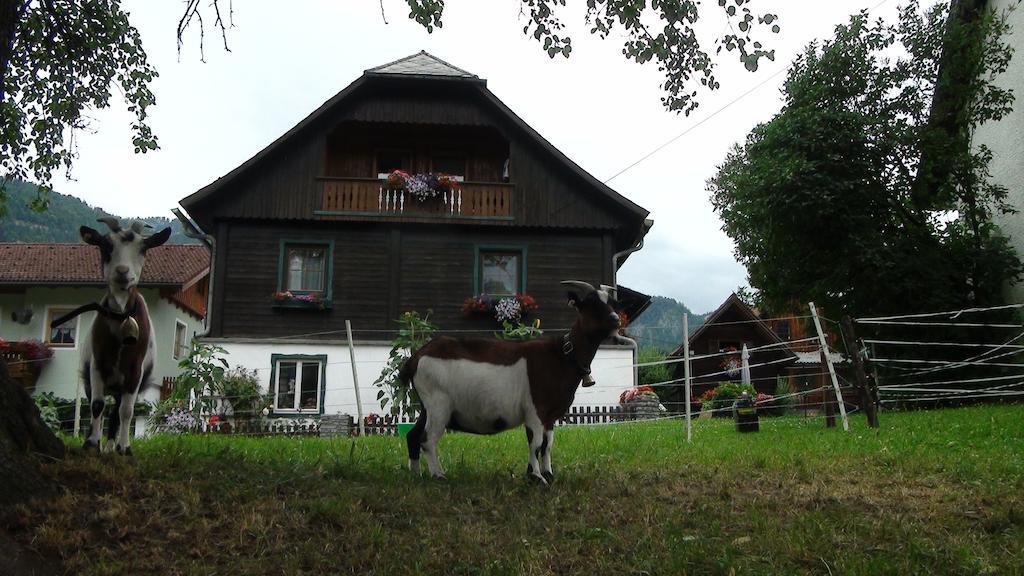 Harreiterhof Villa Aich  Esterno foto